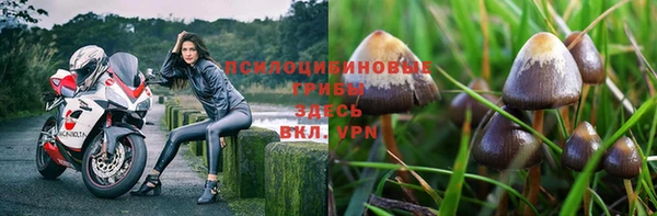 mdpv Надым