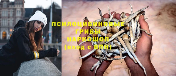 хмурый Наволоки