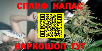 Альфа ПВП Гагарин