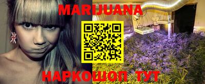 прущие грибы Гай