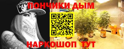 прущие грибы Гай
