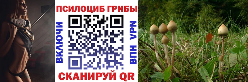 Псилоцибиновые грибы ЛСД  Десногорск 