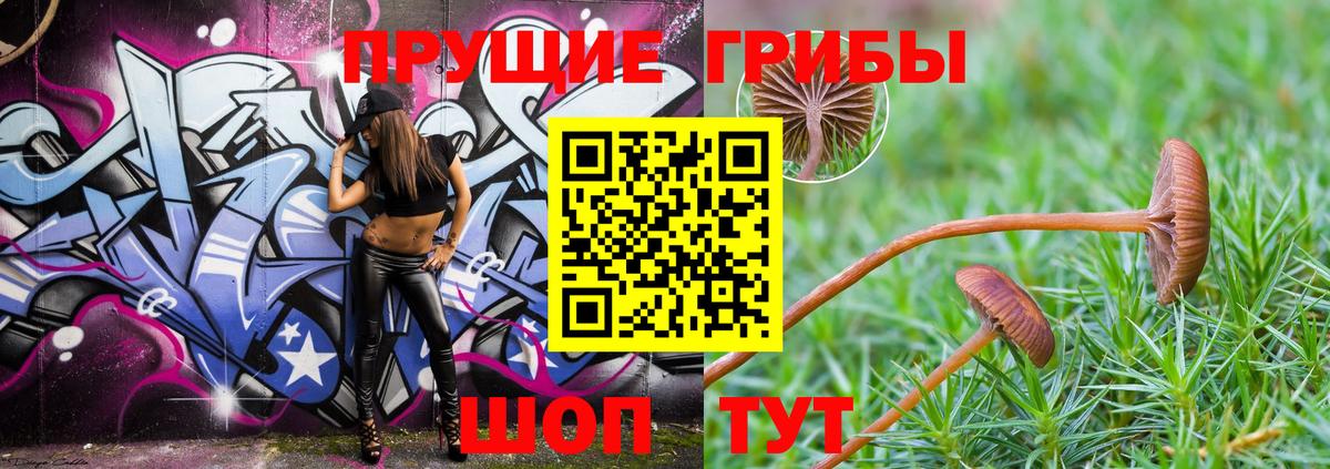 Галлюциногенные грибы MAGIC MUSHROOMS Десногорск