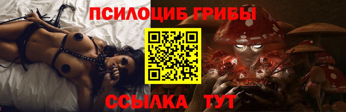 Галлюциногенные грибы мухоморы Десногорск