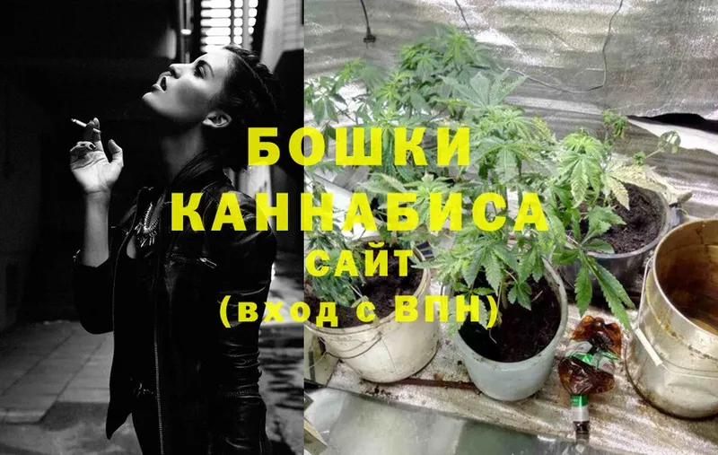 купить закладку  Десногорск  Конопля OG Kush 